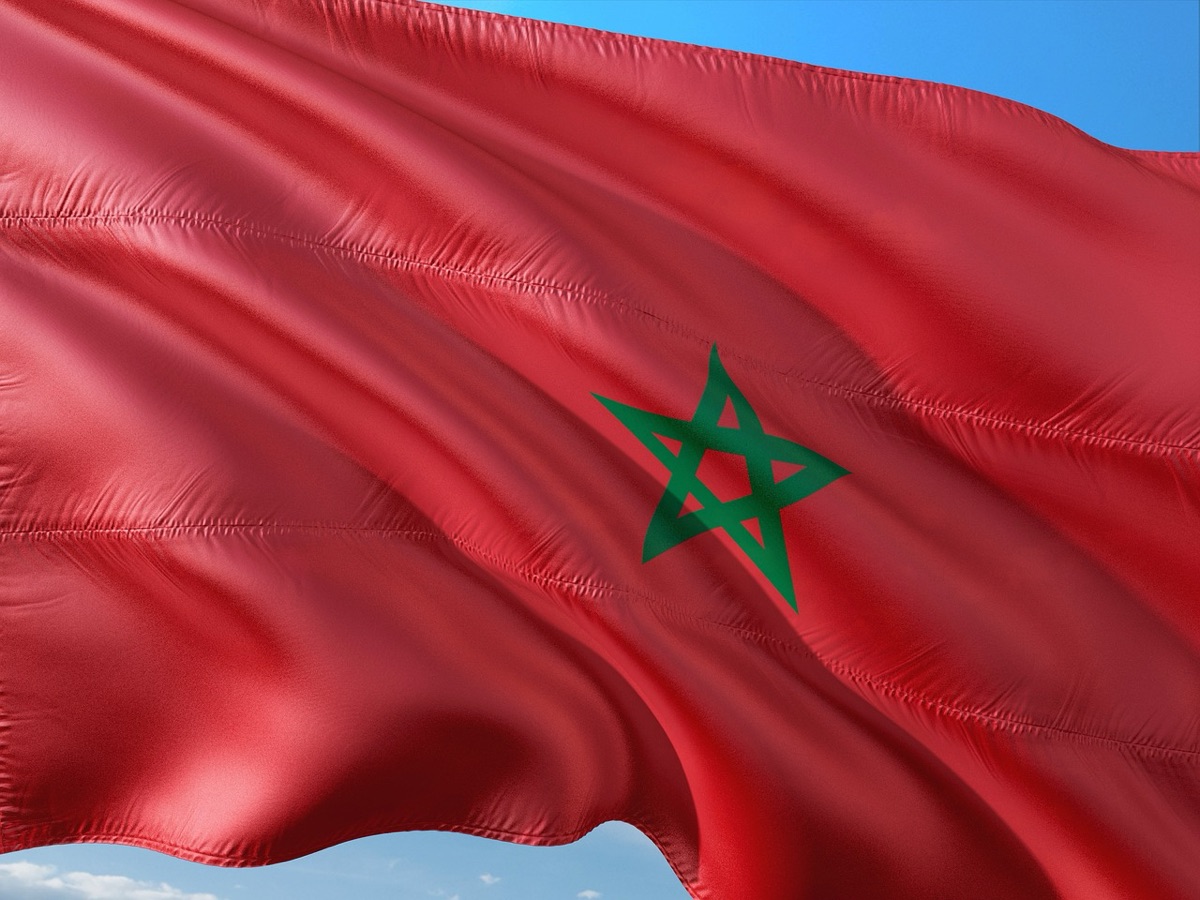 مسافرة بحقيبتها تتصفح هاتفها